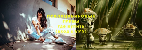 альфа пвп Гусев
