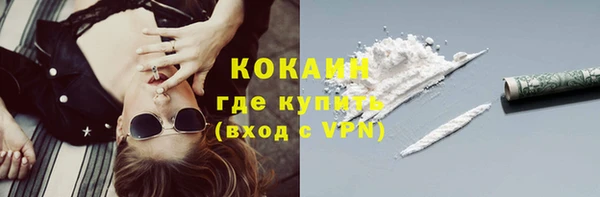 альфа пвп Гусев