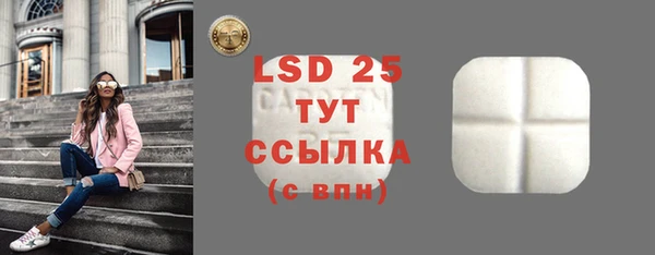 альфа пвп Гусев