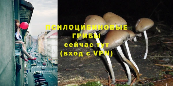 альфа пвп Гусь-Хрустальный