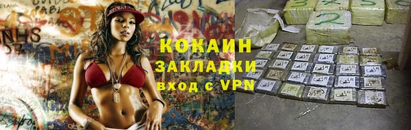 альфа пвп Гусев