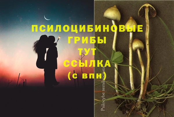 альфа пвп Гусев
