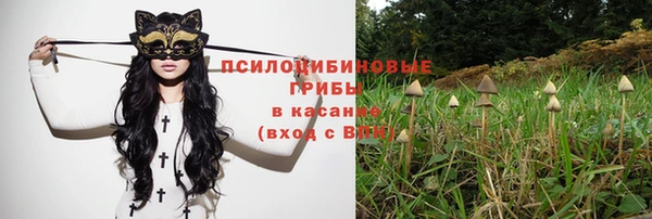 альфа пвп Гусь-Хрустальный