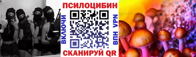 Галлюциногенные грибы Cubensis  Купить закладки  Перевоз 